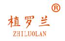 植罗兰+ZHILUOLAN商标转让,商标出售,商标交易,商标买卖,中国商标网