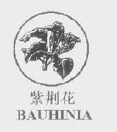 紫荆花bauhinia商标转让,商标出售,商标交易,商标买卖,中国商标网